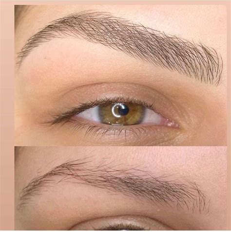 Microblading Vs Powder Brows Which Is More Suited For You