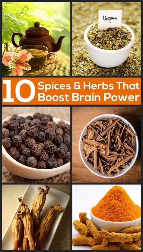 Top 10 Spices And Herbs That Boost Brain Power Healthy Herbs Brain