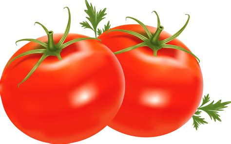 Tomatoes Clipart Free Download On Webstockreview