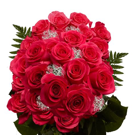 Bouquet Of Hot Pink Roses Two Dozens Fresh Flowers