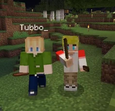 Tubbo And Tommy Skin Widget In 2021 Tubbo And Tommyinnit Minecraft