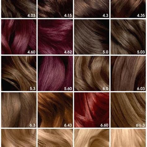 Red Hair Colors Pictures Beautiful Auburn Hair Color Chart