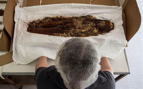 Scans Unveil Secrets Of World S Oldest Mummies Emirates