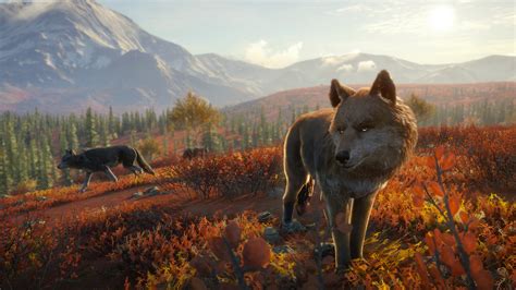 In diesem thehunter call of the wild tutorial erkläre ich euch, wie ihr eure karte & tierpopulation zurücksetzen könnt. Head to Yukon Valley with the latest theHunter: Call of ...