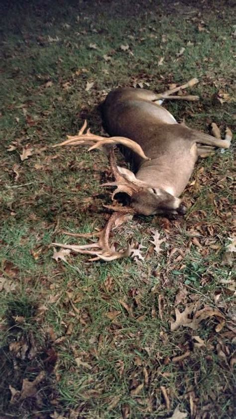 Marians Hunting Stories Etc Etc Etc Franklin County Monster Buck