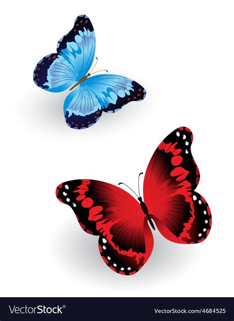 Bright Blue And Red Butterfly Royalty Free Vector Image
