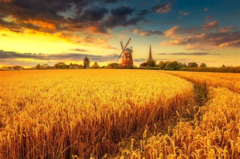 2560x1700 Windmill On Wheat Field At Sunset Chromebook Pixel Wallpaper