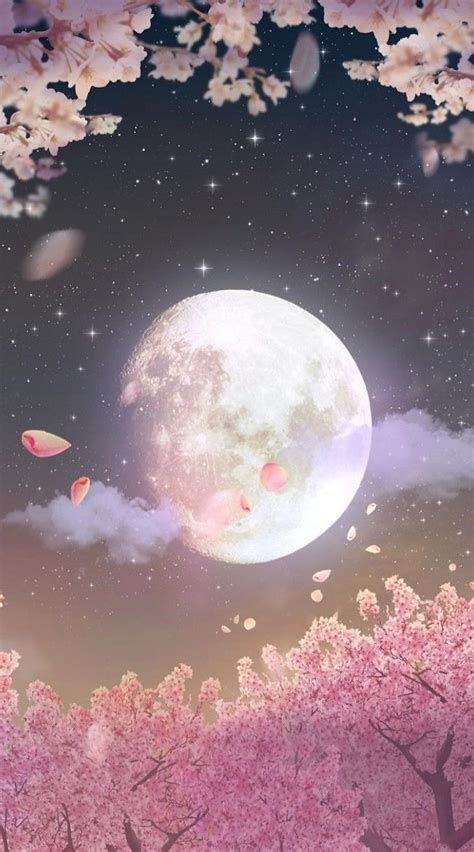 21 Anime Night Sky Moonlight Night Cherry Blossom Wallpaper