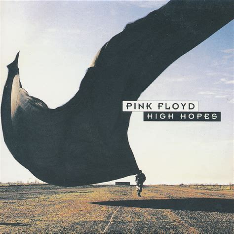 Pink Floyd High Hopes Lyrics Genius Lyrics