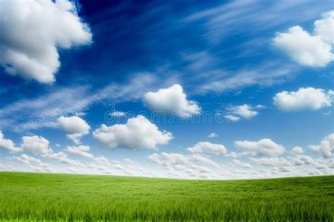 Beautiful Green Meadow With Blue Sky Clean Environment Background