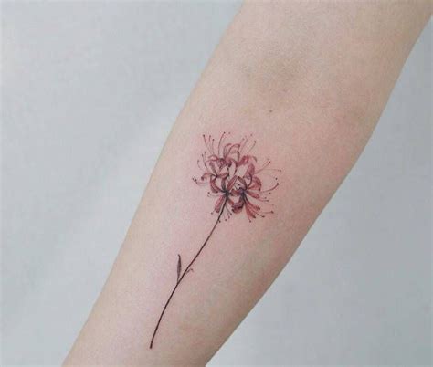 Redspiderlilytattoo instagram photo and video on instagram. Pin on tattoo