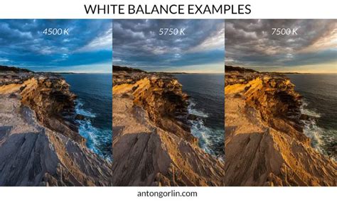 white balance explained landscape photography