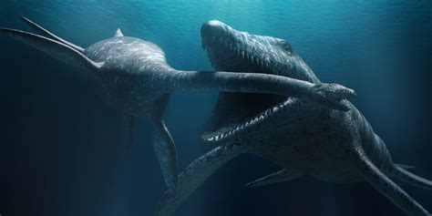 Sea Monsters Prehistoric Ocean Predators Special Education Program