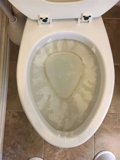 This week is packed with comedy. The 25+ best Cleaning toilet ring ideas on Pinterest ...