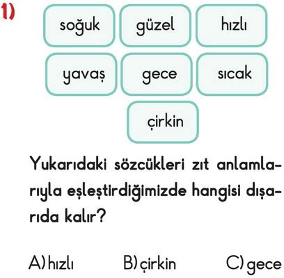 2. Sınıf Türkçe Zıt Anlamlı Kelimeler Testi Çöz | Türkçe Ödevim