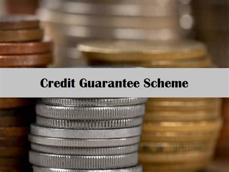 Credit Guarantee Scheme All You Need To Know Emergency Credit Line