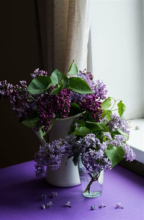 Purple Flowers Glass Vases Flower Bloom Blossom Green Leaf