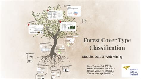 Forest Cover Type Classification By Liamsangesl1 1 On Prezi