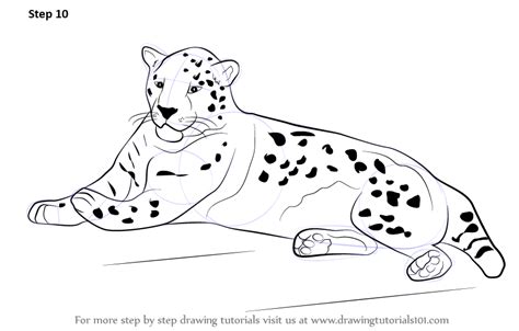 Learn How To Draw A Jaguar Zoo Animals Step By Step Drawing