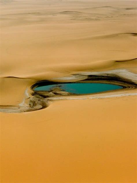 Desert Rain Bing Wallpaper Download