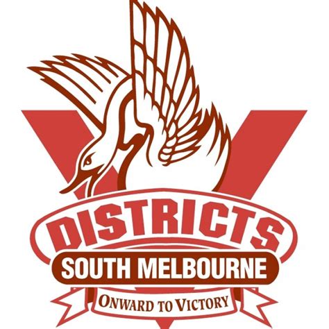 We do this with marketing and advertising partners (who may have their own information they've collected). South Melbourne Districts Logo | VAFA