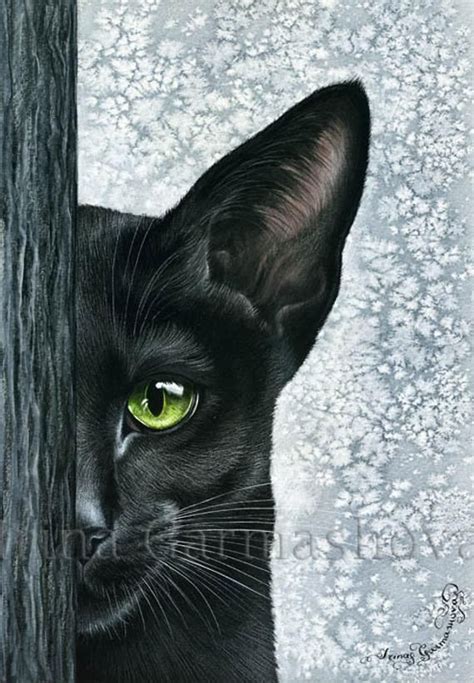Cat Artwork Animals Artwork Animal Paintings Siamese Cats Cats And