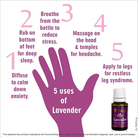 Lavender Essential Oil Young Living How To Use Lavender Essential Oil