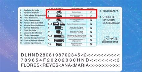Vea Cómo Es La Nueva Licencia Para Conducir En Honduras