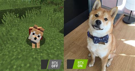 Minecraft Shiba Les Images Des Fermiers Image 15912 De Winters66