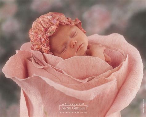 Anne Geddes Wallpapers Wallpaper Cave