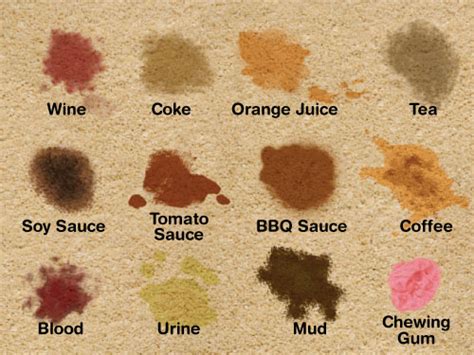 No matter what color carpet you have, first try to blot up as much of the coffee as you can. Carpet Cleaning Gold Coast | Carpet Stain Removal Gold ...