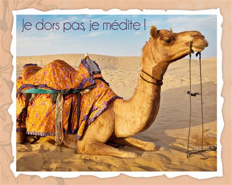 / les plus jolies cartes d'anniversaire pour lui souhaiter un joyeux anniversaire. Carte pour paques dromadaire - Ti bank