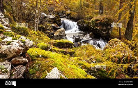 Mountain Stream In The Woods Stock Photo Alamy