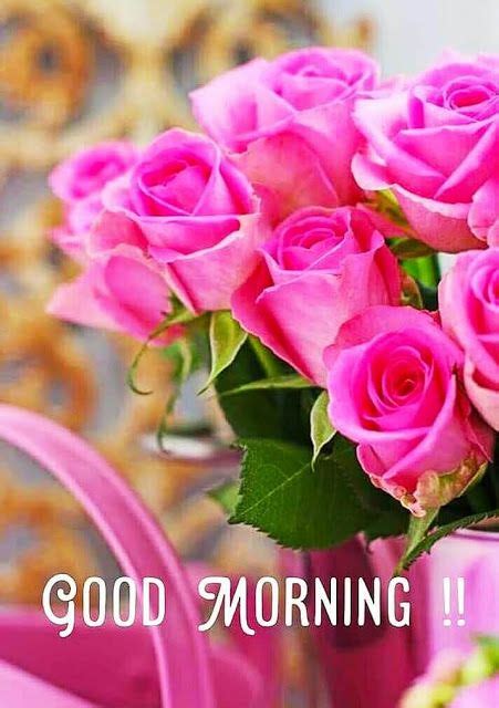 Maybe you would like to learn more about one of these? Good Morning Images For Whatsapp | Good morning flowers ...