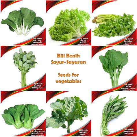 Ada banyak sekali kosakata nama sayur. Biji Benih Sayur-Sayuran (Vegetables seeds) | Shopee Malaysia