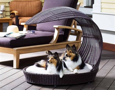 12 Beautiful Dog Beds That Will Instantly Enhance Your Homes Decor