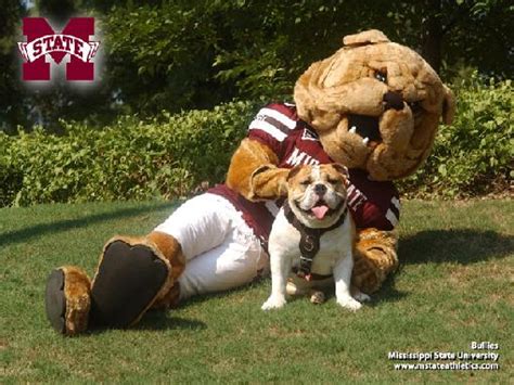 2011 College Football Ranking The 10 Best Mascots In The Top 25 News