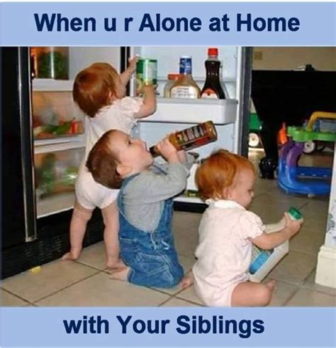 When You Are Alone At Home Funny Images And Photos