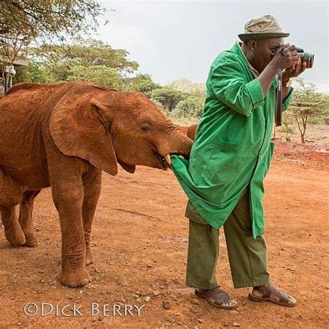 Excuse Me Sirbut Its Time For My Close Up The Dswt