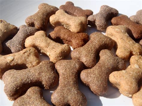 Organic Dog Treats ? 2018 Top 5 Best Sellers | Welcome to the Puppyurl.com!