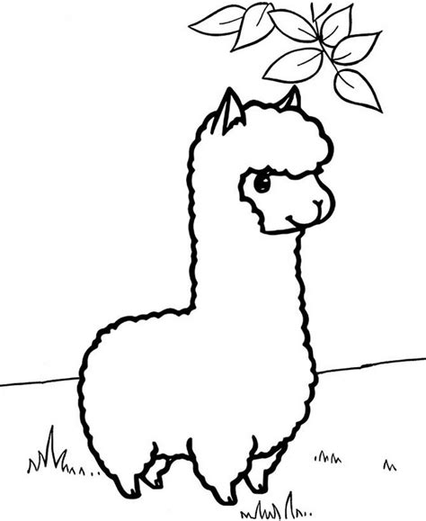 Top 9 Cutest Alpaca Coloring Pages for Kids - Coloring Pages