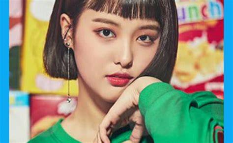 Ahin Momoland Members Profiles And Vote