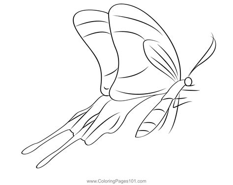 Amazing Butterfly Coloring Page For Kids Free Butterflies Printable