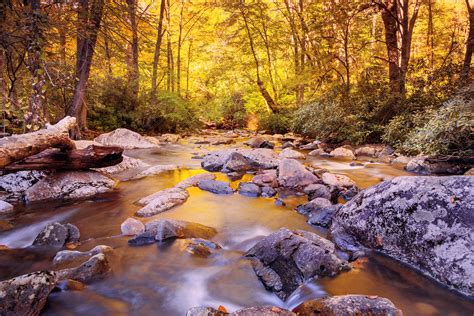 Smokies Golden Stream Great Smoky Mountains National Park Flickr