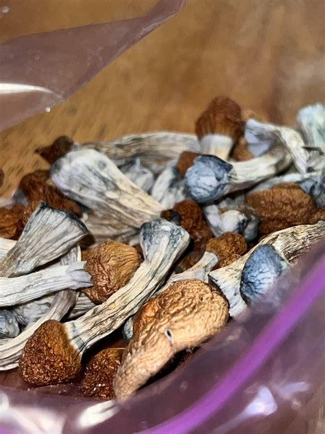 Bought 14g tonight :)) gonna do them all I think : r/shrooms