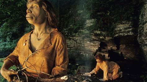 Warum Der Neandertaler Ausgestorben Ist Mediathek WDR
