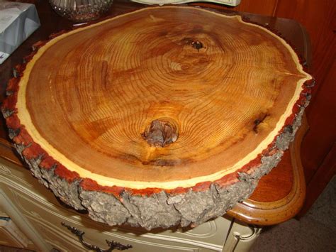 You can acquire tree slice table top guide and view the latest beautiful wood slice table in decoration in here. Round LIVE EDGE American Mahogany Slab 16" Wood Tree Slice ...