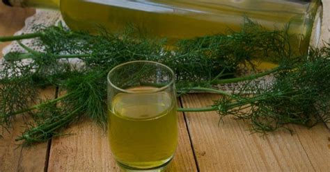 Il liquore al mirto si conserva per un anno. Liquore al finocchietto selvatico | Le ricette di Mirzia ...