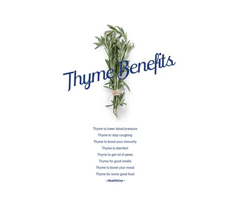 This gem of a script was what metal era typographers called a continental face, which essentially meant an old, most likely uncred. Prink Script font | free download for WEB