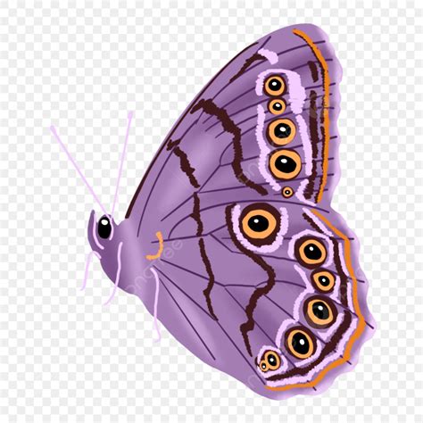 Purple Butterflies Png Picture Purple Butterfly Purple Butterfly Png